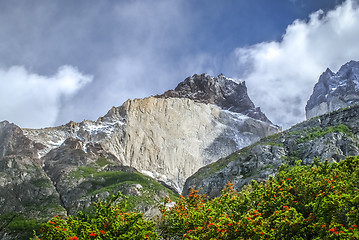 Image showing Park in Chile