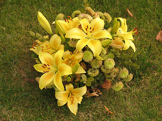 Image showing Yellow lillies