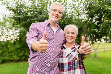 Image showing happy senior couple hugging at summer garden
