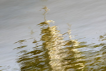 Image showing golden domes