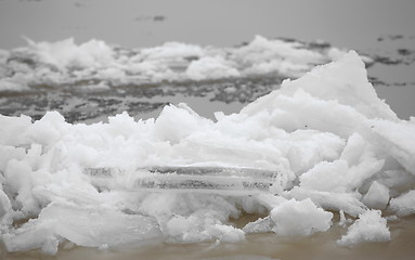 Image showing Floating of floe  close to 