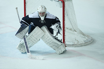 Image showing  Hockey goalkeeper during a game