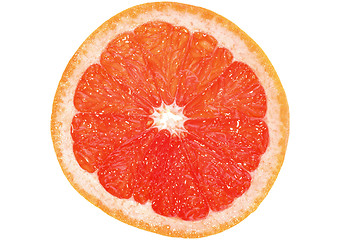 Image showing Grapefruit slice