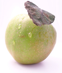 Image showing Fresh Picked Apple