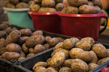 Image showing Potato at marketplace