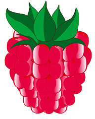 Image showing Ripe berry raspberry