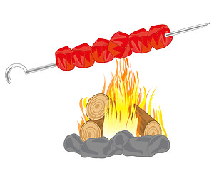 Image showing Shish kebab on campfires