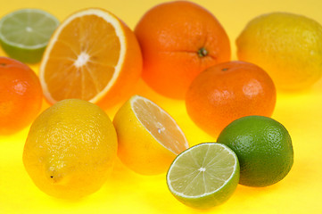 Image showing Citrus fruits