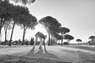 Image showing golf player placing ball on tee