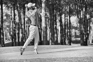 Image showing golf player hitting shot with club