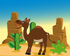 Image showing Camel in desert
