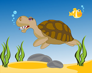 Image showing Sea terrapin in water