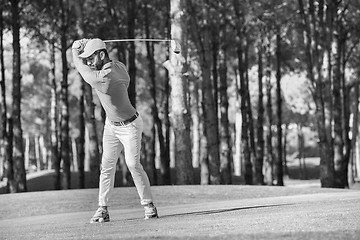 Image showing golf player hitting shot with club