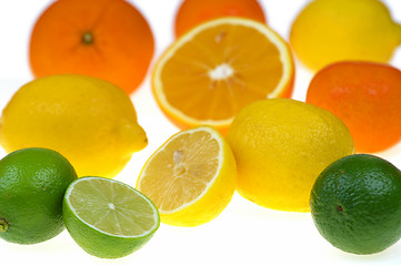 Image showing Citrus fruits