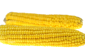 Image showing Corn cob