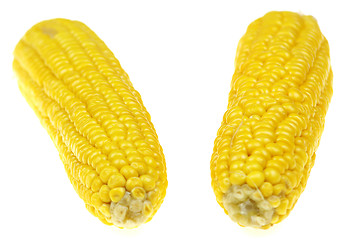 Image showing Corn cob