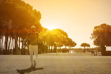 Image showing handsome middle eastern golf player at the course