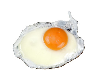 Image showing Fried egg