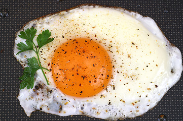 Image showing Fried egg