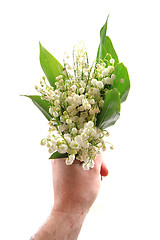 Image showing lily of valley