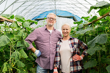 Image showing happy senior couple at farm greenhouse