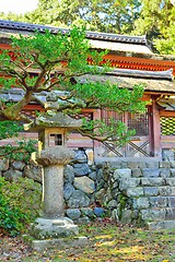 Image showing Japanese stone lantern and temple gates.