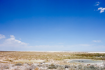 Image showing Etosha landscape