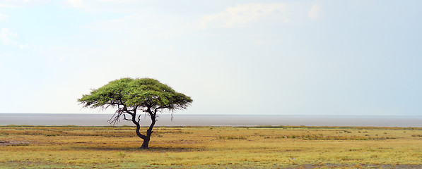 Image showing african landscape