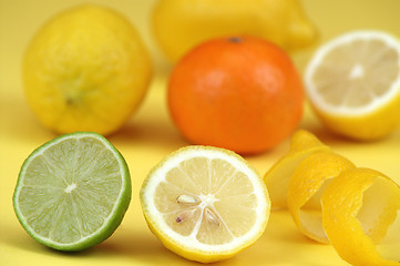 Image showing Citrus fruits