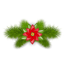 Image showing Christmas composition with fir twigs and flower poinsettia, isol