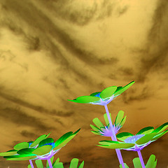 Image showing Beautiful Cosmos Flower against the sky. 3D illustration.