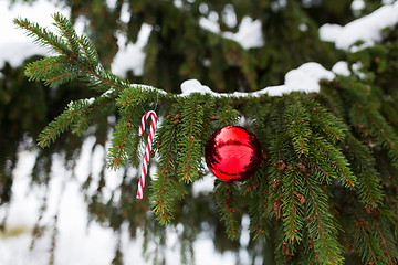 Image showing candy cane and christmas ball on fir tree branch