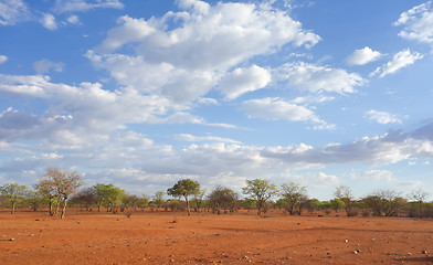 Image showing Kalahari