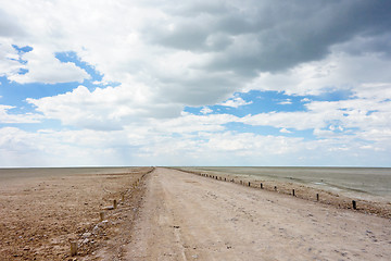 Image showing park Etosha