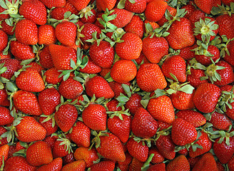 Image showing background from freshly harvested strawberries.