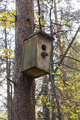 Image showing Wooden birdhouse on a pine tree. Autumn forest.