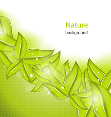 Image showing Nature Background with Eco Green Leaves