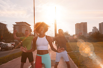 Image showing multiethnic group of people on the jogging