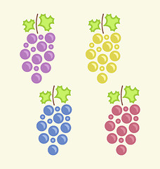 Image showing Set Colorful Bunches of Grape