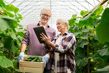 Image showing senior couple with cucumbers and tablet pc on farm