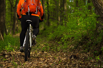 Image showing Cyclist Riding the Bike on a Trail in Summer Forest