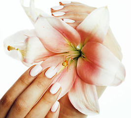 Image showing beauty delicate hands with manicure holding flower lily close up isolated on white, spa salon concept