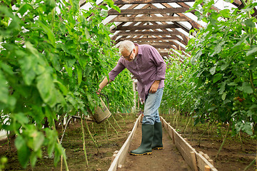 Image showing senior man with watering can at farm greenhouse