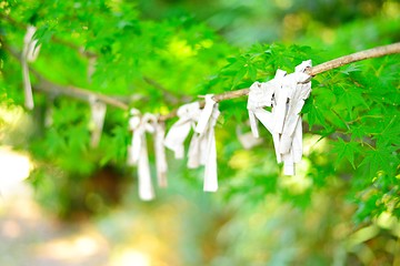 Image showing Omikuji, Japanese fortune, tied to a tree branch. Close-up.