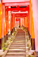 Image showing Red torii gates and stone steps at Fushimi Inari Shrine, Kyoto.