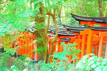 Image showing Red torii gates at Fushimi Inari Taisha. Wishes written in Japanese on the posts.