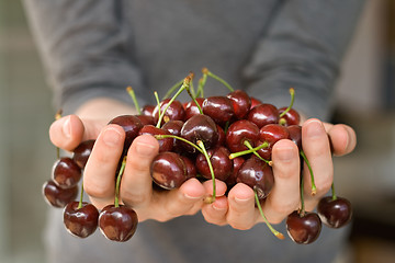 Image showing hands full of cherry