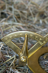 Image showing Farrier tool