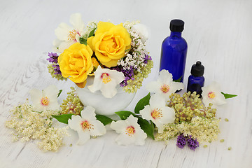 Image showing Healing Flowers and Herbs