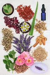 Image showing Herbal Skincare with Healing Ingredients